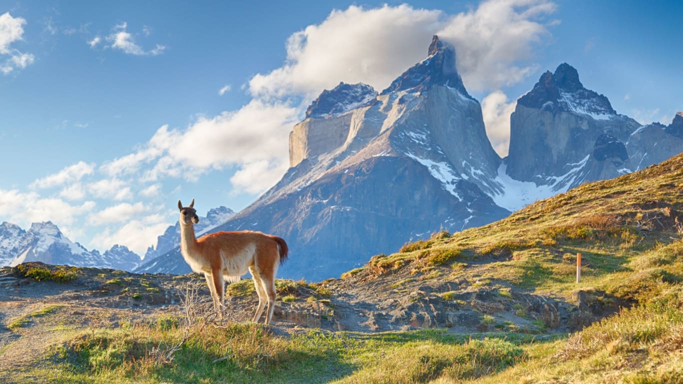 Patagonia Tours Best Patagonia Tours & Package Tours