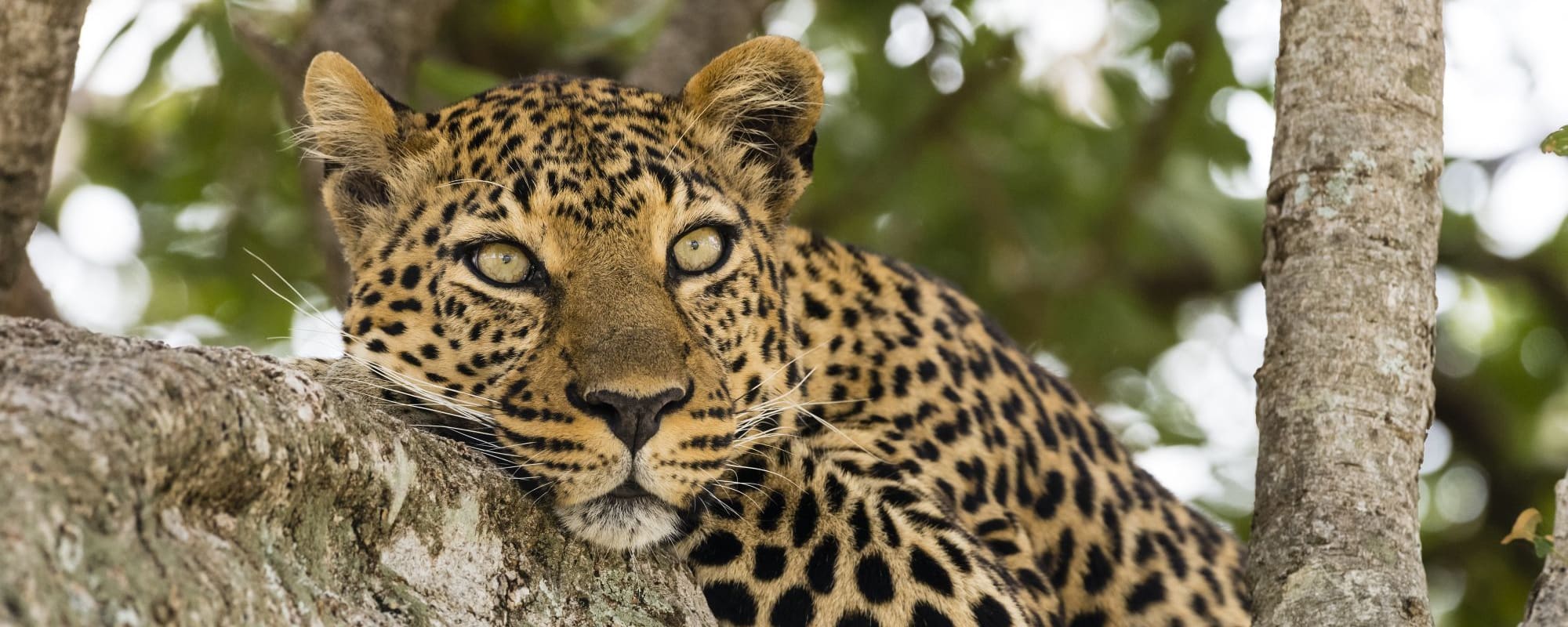 Our Honeymoon Stay in Tanzania