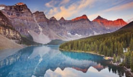 rockies