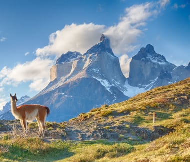 Chile Patagonia