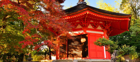 kensington tours japan