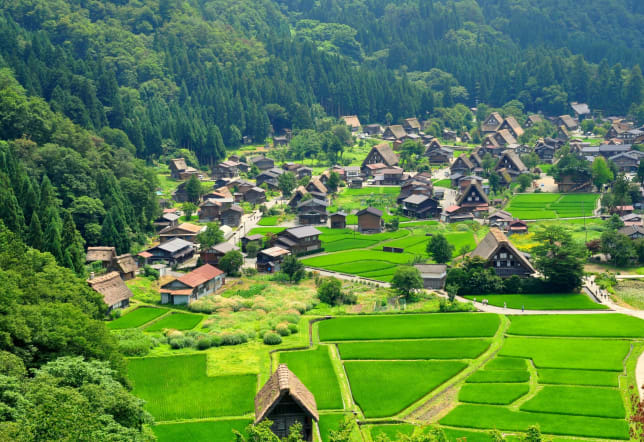 Shirakawago