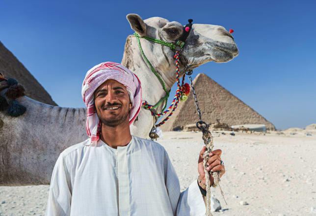 Camel Rides in Giza