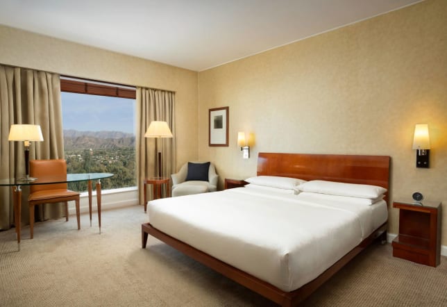 andes view Room