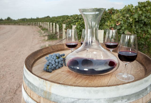 Red Wine In Vineyard