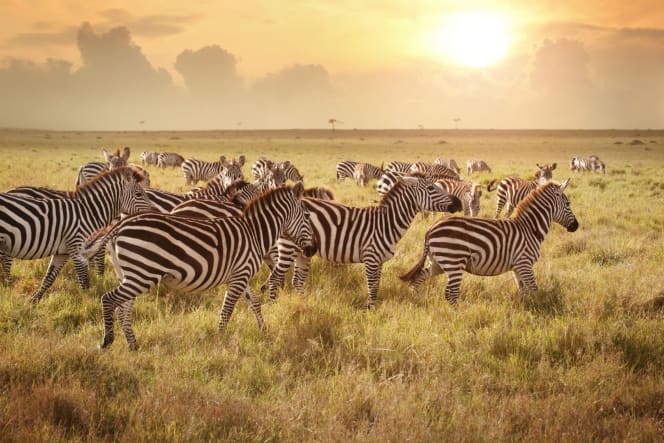 FAQ: Travel Trends You Should Know