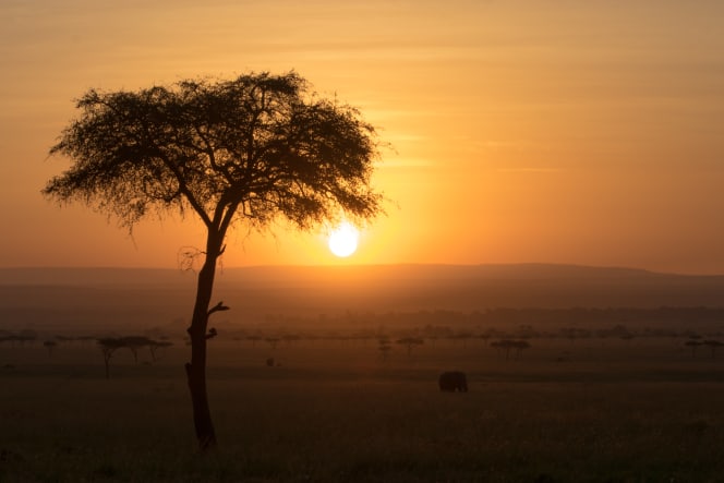 kensington tours tanzania