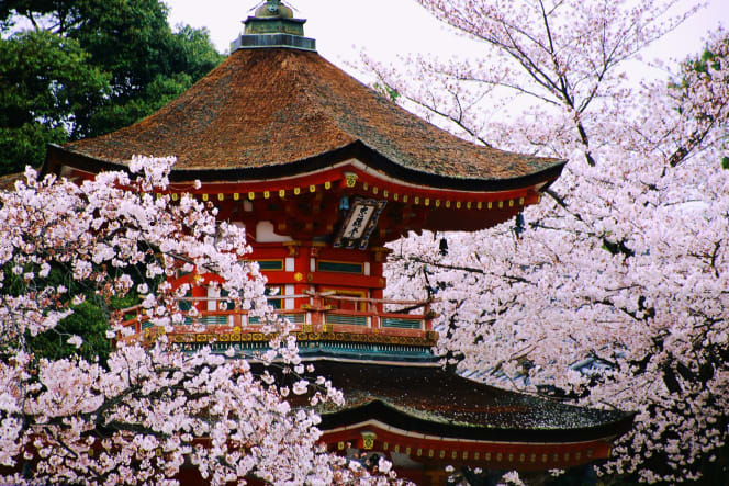 kensington tours japan