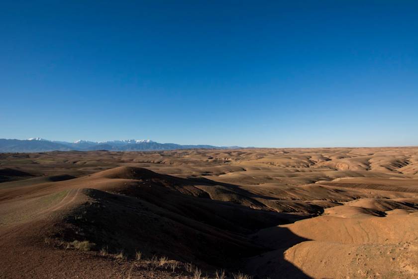 A Desert Oasis, Marrakech