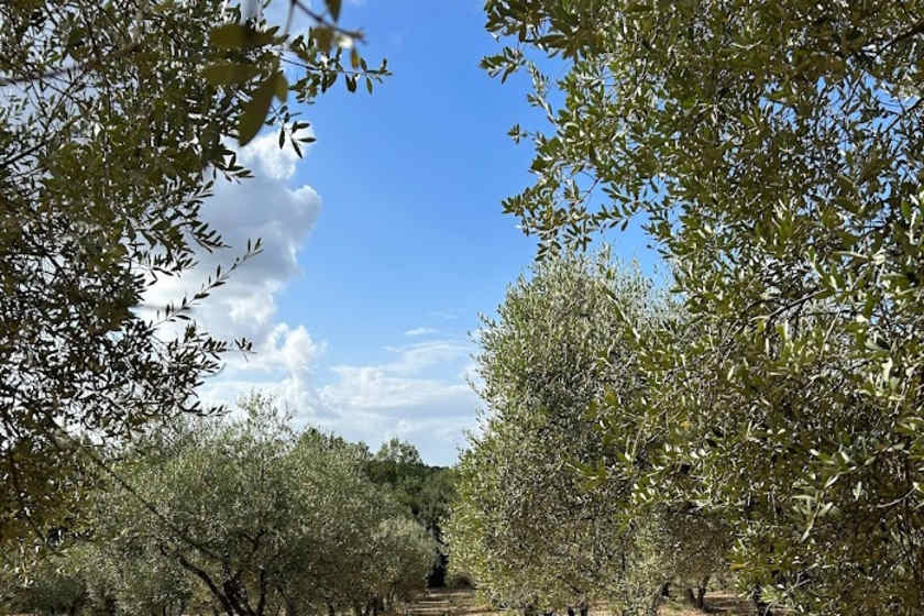 A Sight To Behold, Corfu