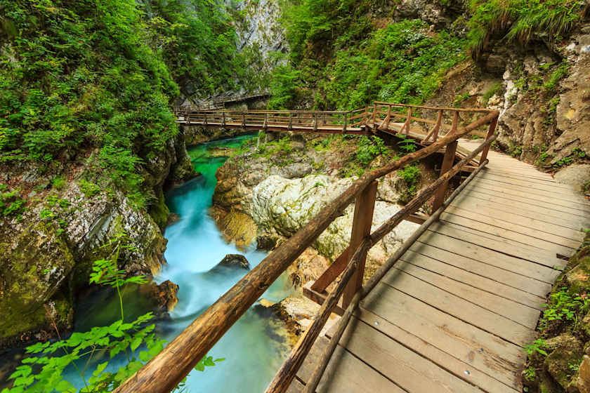 A Sight To Behold, Ljubljana
