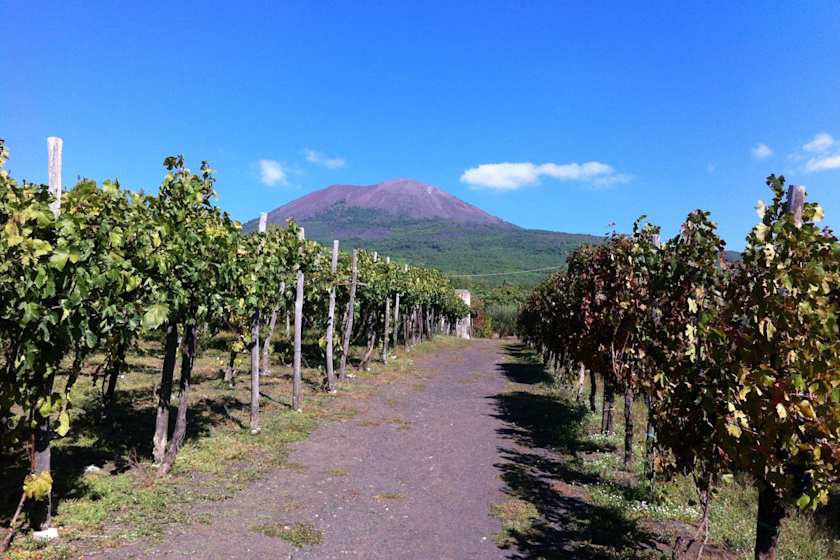 Mountain Heights & Winery Delights, Positano