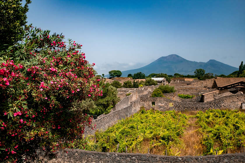 From Ashes, Sorrento Awaits, Rome