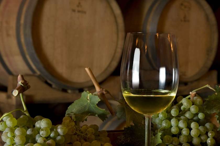 Artisan Villages & Vineyard Tastings, Porto Cervo