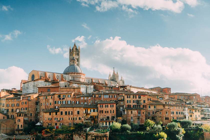 From Piazza to Vineyard, Florence