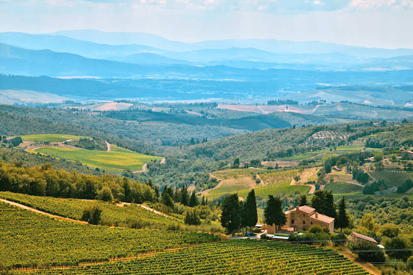 The Golden Hills of Tuscany, Florence