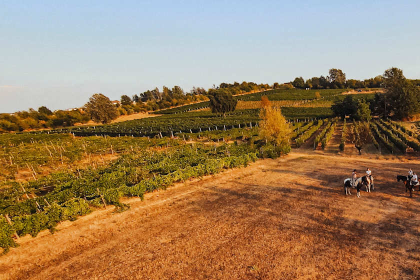 Vintage Adventure, Montepulciano