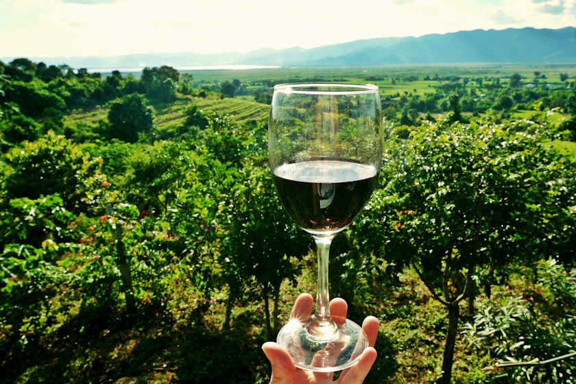 Of Vineyards and Vintages, Gale