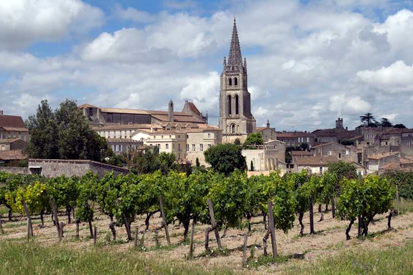 Taste and Tipple on a Vineyard Visit, Bordeaux
