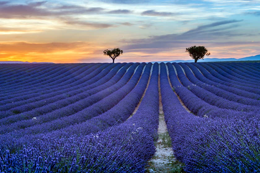 Nurtured by Nature, Les Baux de Provence