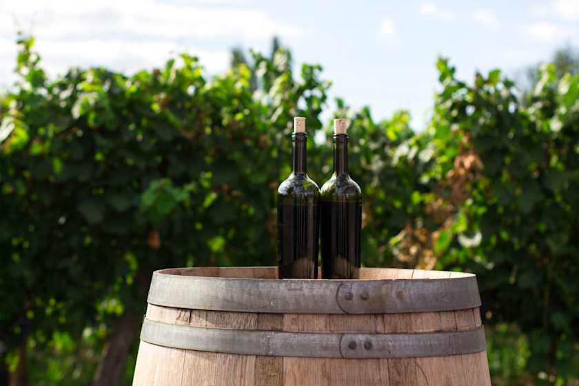 Taste and Tipple on a Vineyard Visit, Trapani