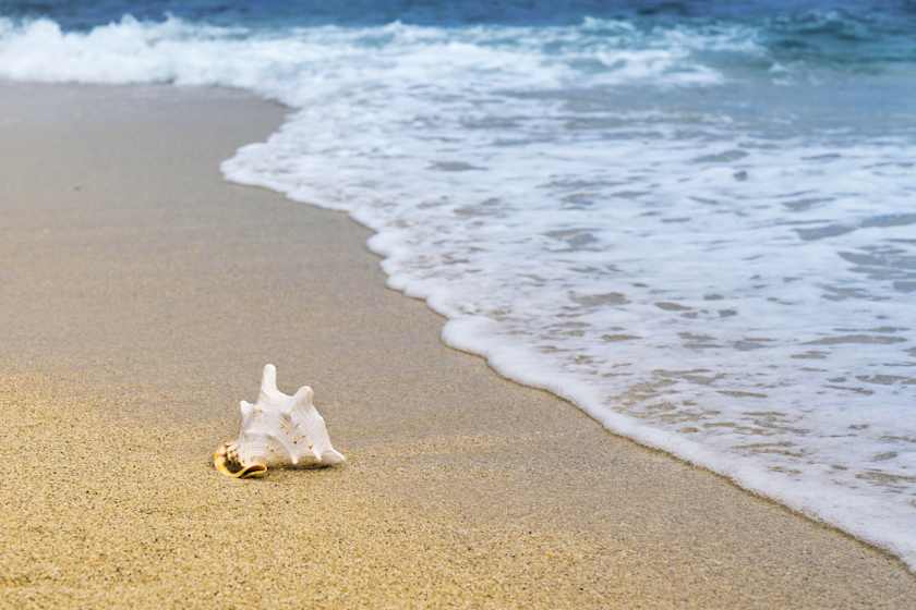 Sun and Sand, Marbella