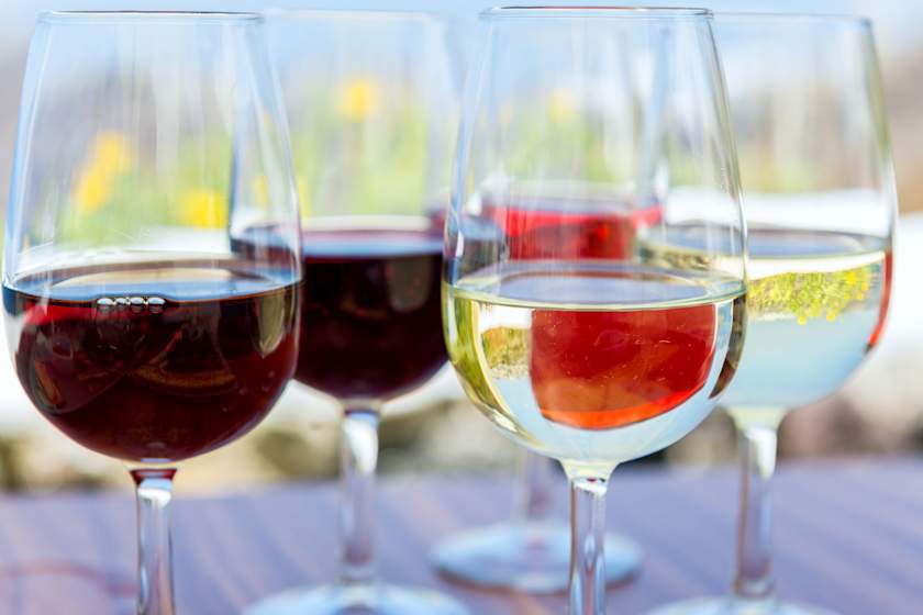 Taste and Tipple on a Vineyard Visit, Rovinj
