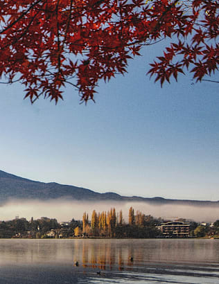The Best Time to Visit Japan
