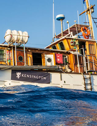 Exploring the Uncharted: Nekton’s First Descent Mission in the Comoros