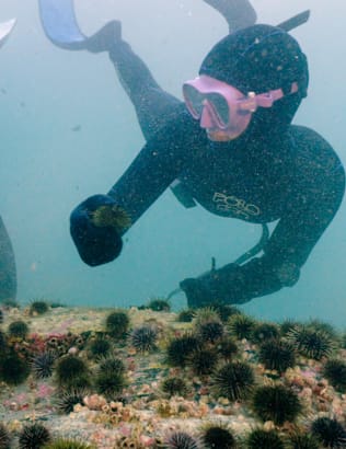 How Travel Drives Meaningful Change