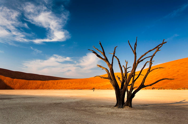 Wild Frontiers of Botswana & Namibia
