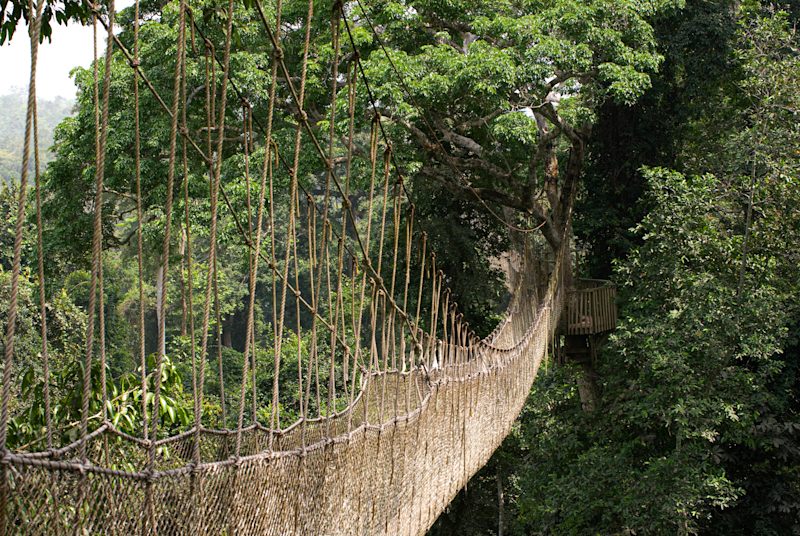 Essential Ghana