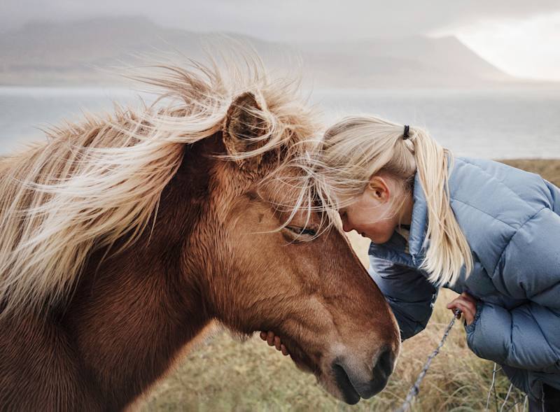 Iceland Family: Hidden World of Elves & Trolls