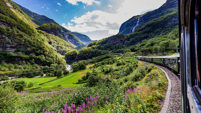 Best of Norway by Cruise & Rail 