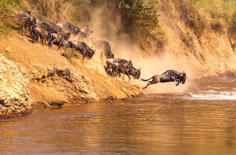 Tanzania’s Great Migration Safari