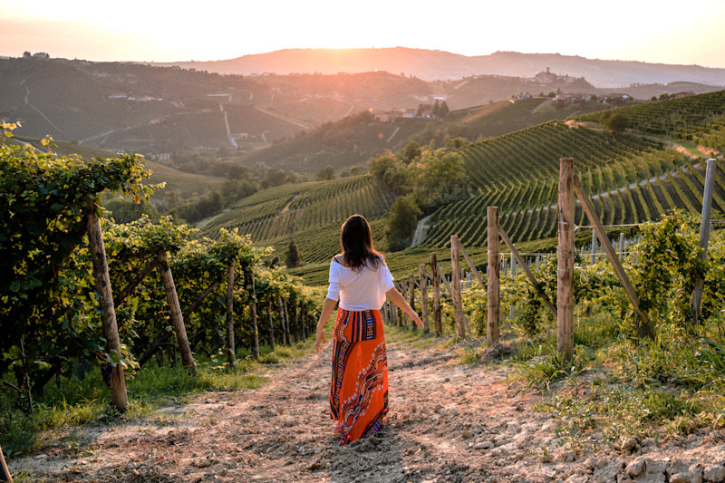 The Flavors of Tuscany