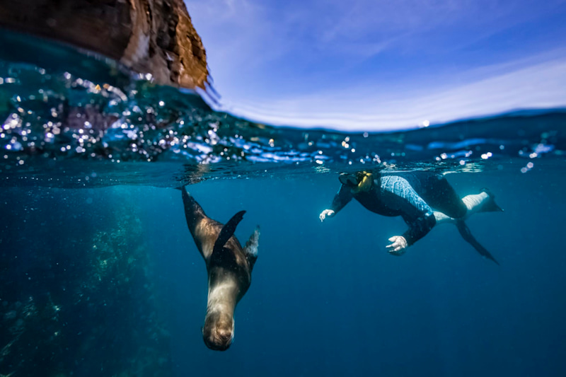 Galapagos Cruise & Machu Picchu Highlights 